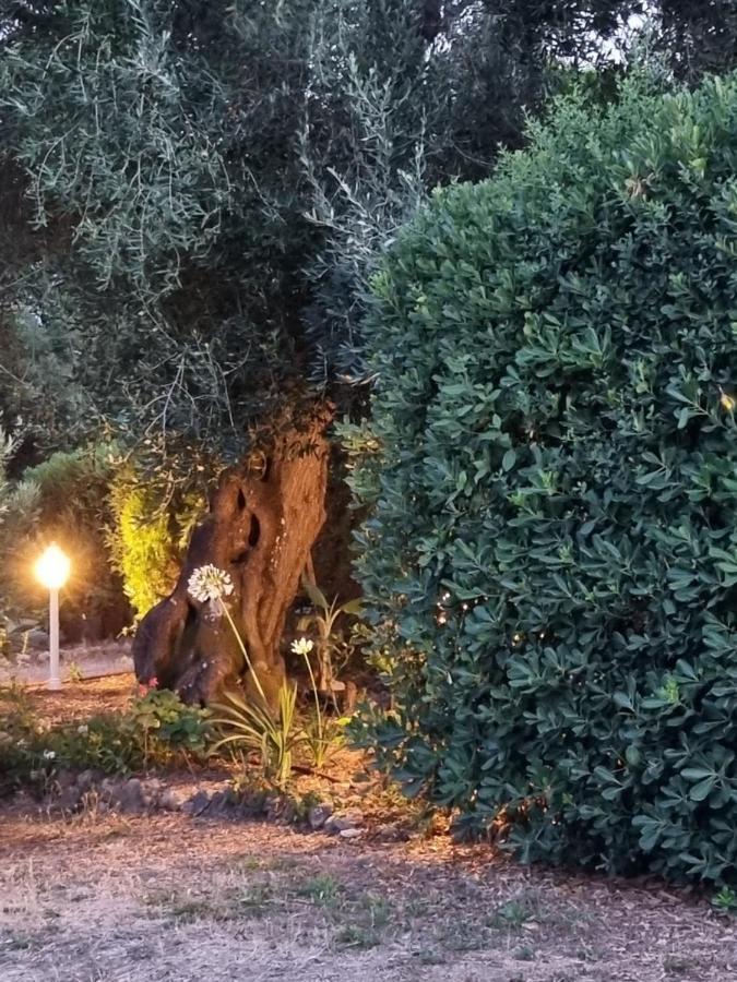 Cozy Corfu Bungalow 5 Minutes To Aqualand Ágios Ioánnis المظهر الخارجي الصورة