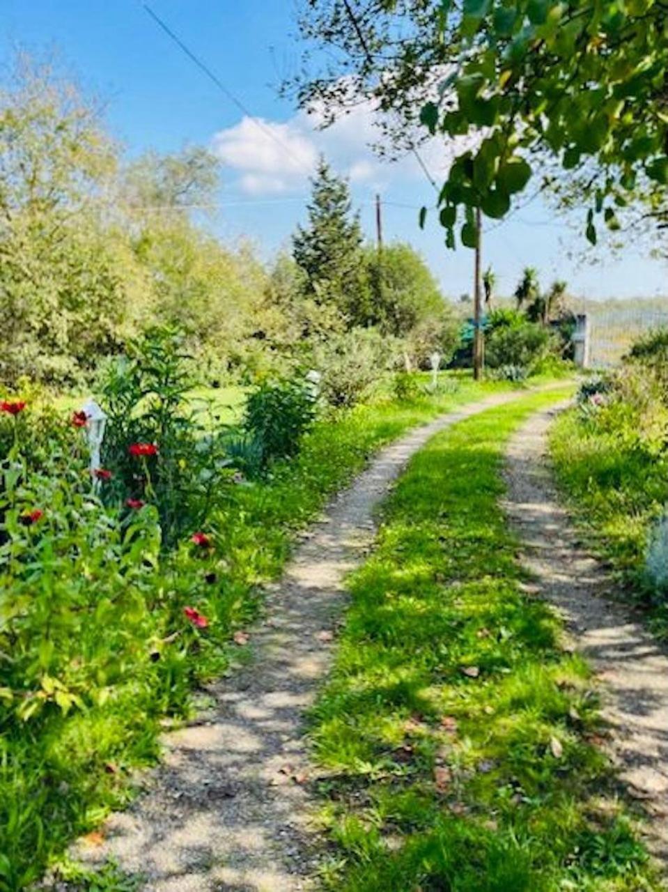 Cozy Corfu Bungalow 5 Minutes To Aqualand Ágios Ioánnis المظهر الخارجي الصورة